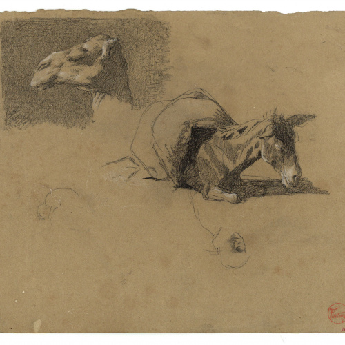 image for: Marià Fortuny - Cap de camell i ruc (anvers) / Estudi de camell (revers) - Cap a 1862