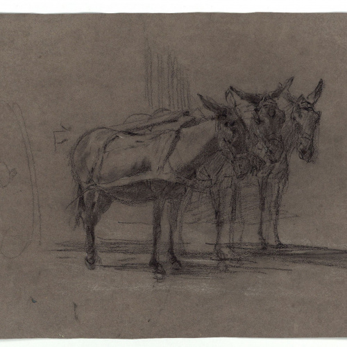 image for: Marià Fortuny - Rucs junyits a un carro (anvers) / Caps de ruc (revers) - Cap a 1867-1870