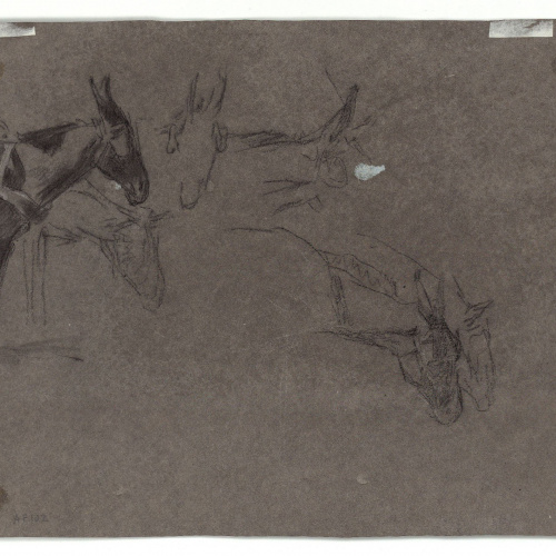 image for: Marià Fortuny - Rucs junyits a un carro (anvers) / Caps de ruc (revers) - Cap a 1867-1870 [1]