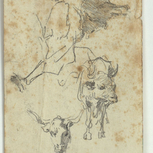 image for: Marià Fortuny - Figura i bous (anvers) / Croquis de figura i animals (revers) - Cap a 1860-1862