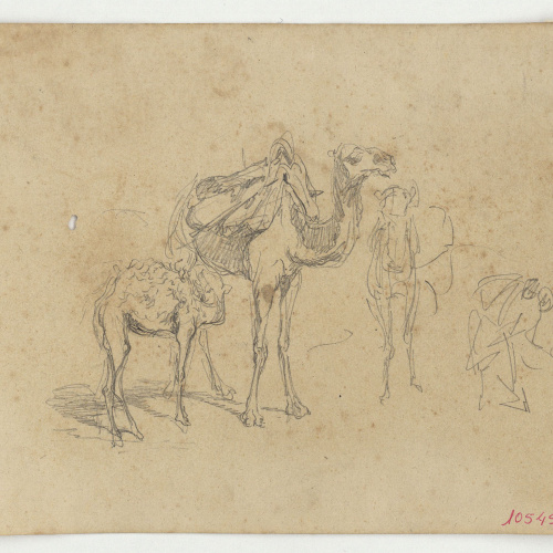 image for: Marià Fortuny - Camells (anvers) / Caps d&#039;home amb turbant (revers) - Cap a 1860-1862