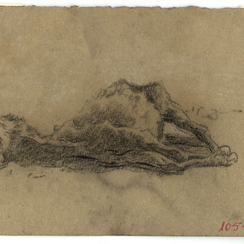 image for: Marià Fortuny - Ruc ajagut - Cap a 1867-1872