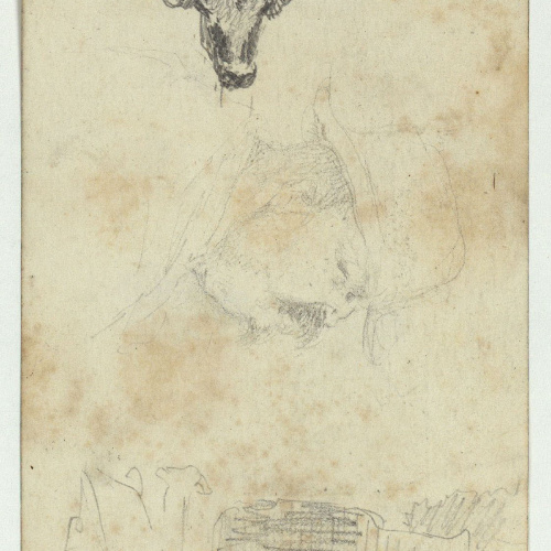 image for: Marià Fortuny - Marroquins (anvers) / Toro, retrat masculí i camell (revers) - Cap a 1860-1862 [1]