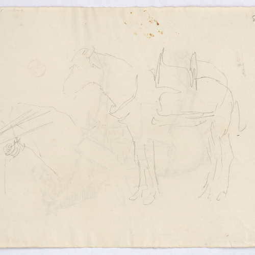 image for: Marià Fortuny - Estudi per al gravat «Cavall marroquí» (anvers) / Estudi per al gravat «Cavall marroquí» (revers) - Cap a 1860-1862 [1]