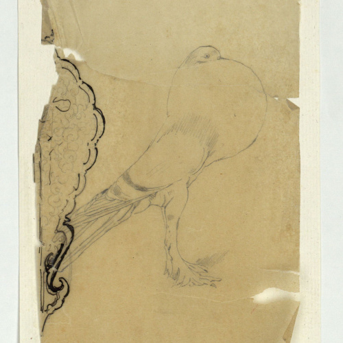 image for: Marià Fortuny - Calc d&#039;un arabesc i de la figura d&#039;un colom - Cap a 1863-1872