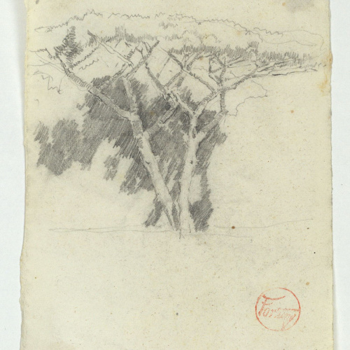 image for: Marià Fortuny - Estudi per al quadre «Platja de Portici» - Cap a 1874