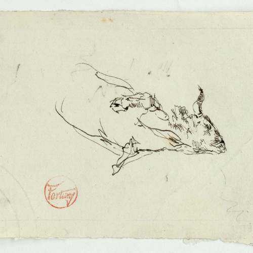 image for: Marià Fortuny - Estudi per al quadre «L&#039;escorxador de Portici» - Cap a 1874
