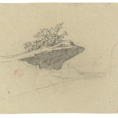 image for: Marià Fortuny - Roca amb matolls - Cap a 1860-1862