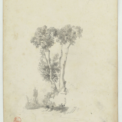 image for: Marià Fortuny - Arbres - Cap a 1867-1872