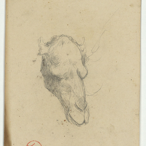image for: Marià Fortuny - Cap de camell (anvers) / Esbós de figura asseguda (revers) - Cap a 1860-1862