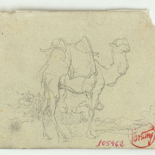 image for: Marià Fortuny - Camell - Cap a 1860-1862