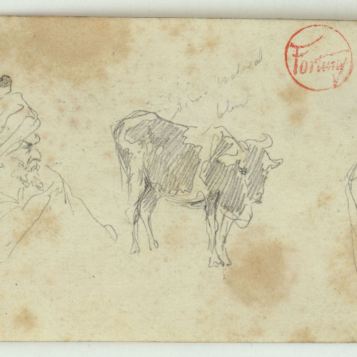 image for: Marià Fortuny - Cap de marroquí, bou i esbós de figura (anvers) / Esbós de marroquins (revers) - Cap a 1860-1862
