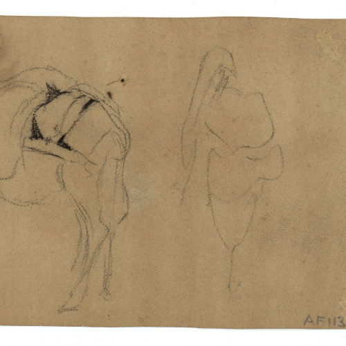 image for: Marià Fortuny - Ruc (anvers) / Esbós de rucs (revers) - Cap a 1860-1862 [1]