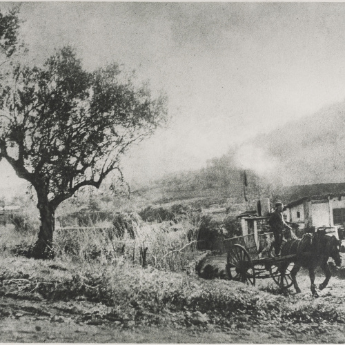 image for: Josep Maria Casals i Ariet - Paisatge amb carro - No datat