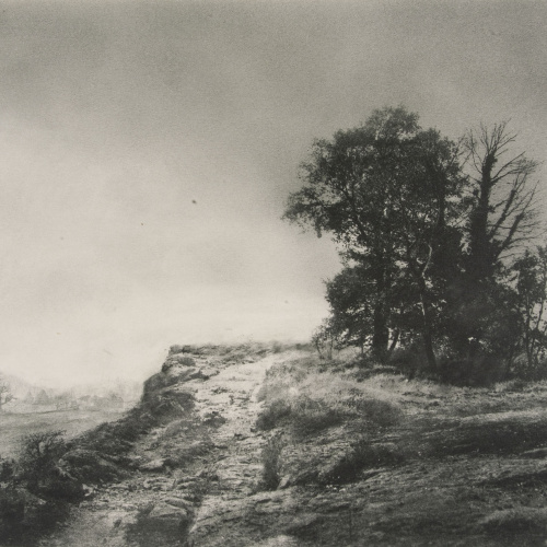 image for: Josep Maria Casals i Ariet - Paisatge - No datat