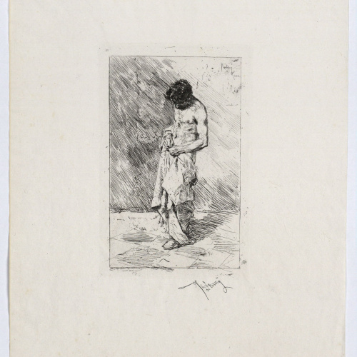 image for: Marià Fortuny - El pollós - 1878