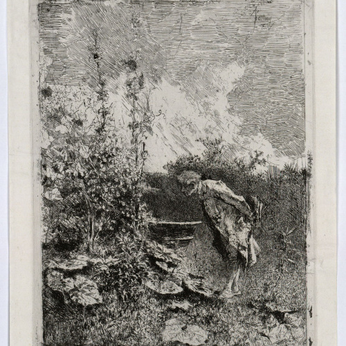 image for: Marià Fortuny - El botànic - Cap a 1868-1869