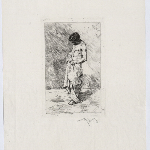 image for: Marià Fortuny - El pollós - 1878