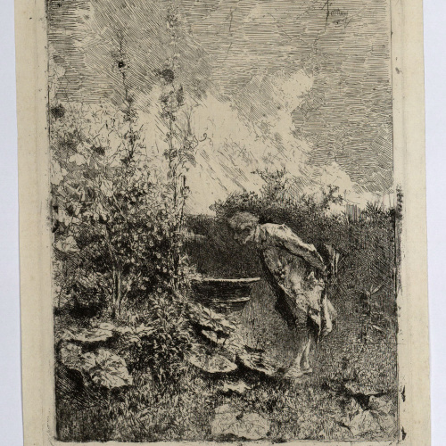 image for: Marià Fortuny - El botànic - Cap a 1868-1869