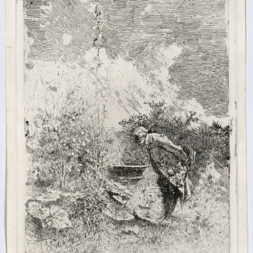 image for: Marià Fortuny - El botànic - Cap a 1868-1869