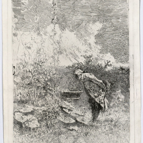 image for: Marià Fortuny - El botànic - Cap a 1868-1869