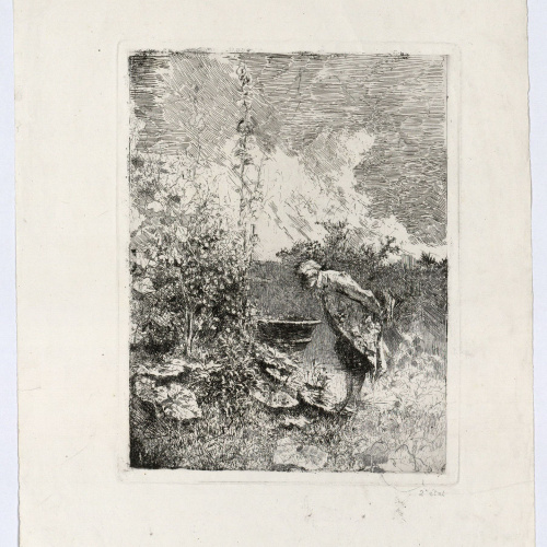 image for: Marià Fortuny - El botànic - Cap a 1868-1869