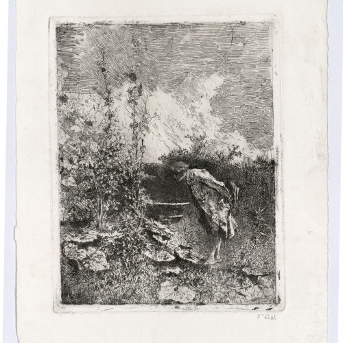 image for: Marià Fortuny - El botànic - Cap a 1868-1869