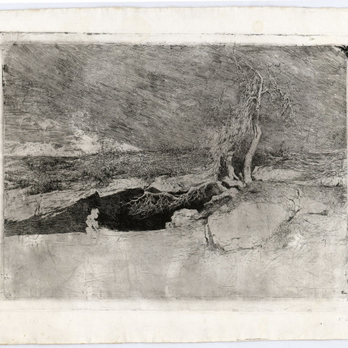 image for: Marià Fortuny - Anacoreta - Cap a 1869