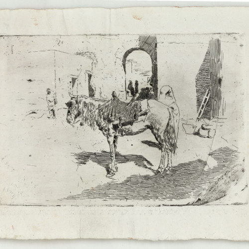 image for: Marià Fortuny - Cavall marroquí - Cap a 1873-1874