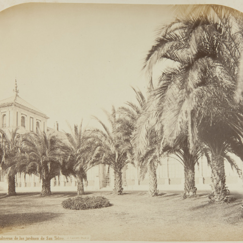 image for: Jean Laurent - Sevilla. Palmeras de los jardines de San Telmo - Cap a 1865