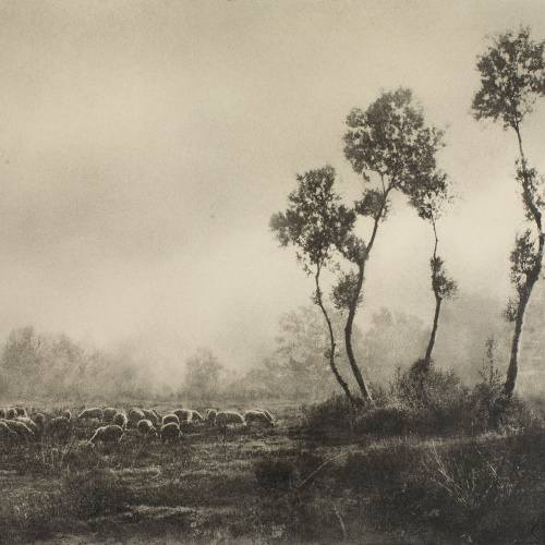 image for: Josep Maria Casals i Ariet - Mollet - Mollet, 1945