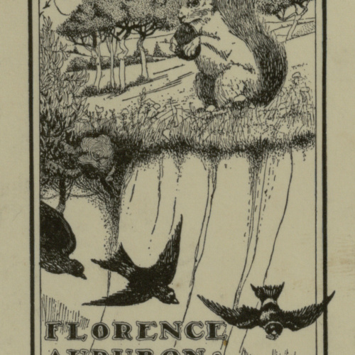 Jay K. Chambers - Ex-libris Florence Audubon - 1900 image for: Jay K. Chambers - Ex-libris Florence Audubon - 1900
