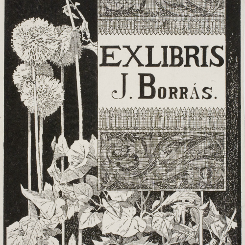 image for: Alexandre de Riquer - Ex-libris J. Borrás - 1904