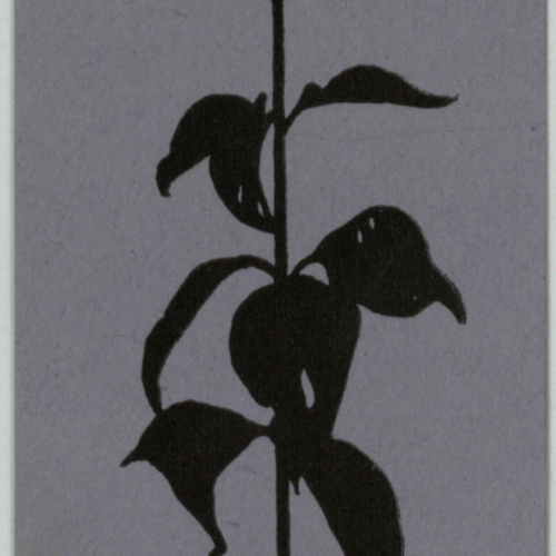 image for: Wilbur Macey Stone - Ex-libris Harold Morton Roberts - 1900