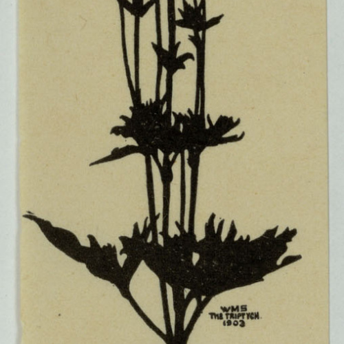 image for: Wilbur Macey Stone - Ex-libris Mabel Ward Cameron - 1903