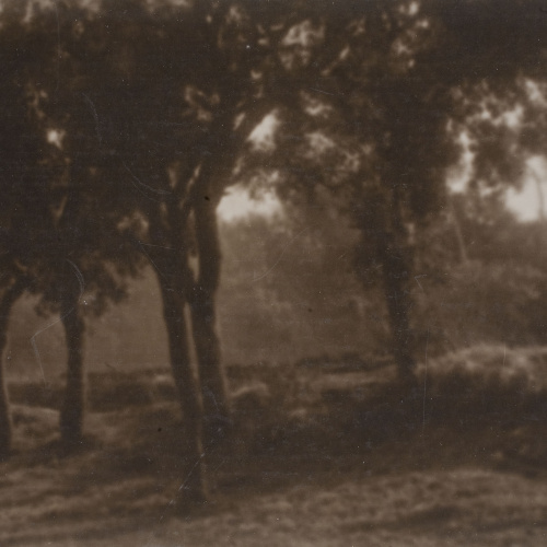 image for: Joan Vilatobà - Sense títol - No datat