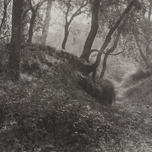 image for: Joan Vilatobà - Sense títol - No datat