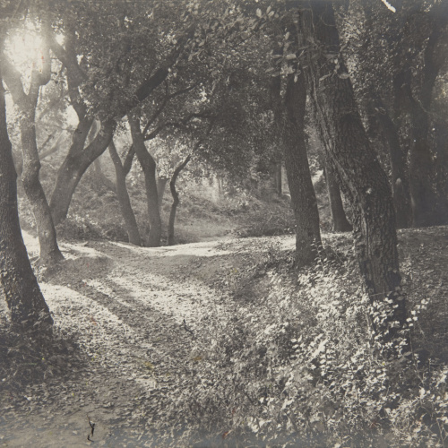 image for: Miquel Renom - Sense títol - No datat