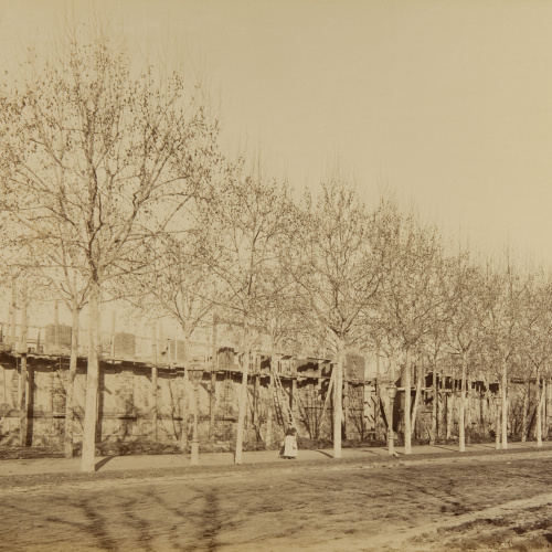 image for: Pau Audouard - Sense títol - Cap a 1888