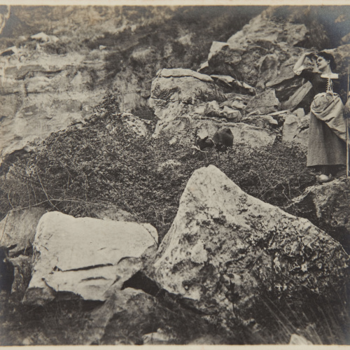 image for: Pere Casas Abarca - Sense títol - Cap a 1900