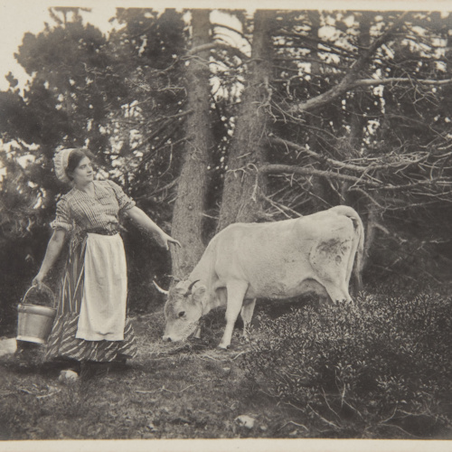 image for: Pere Casas Abarca - Sense títol - Cap a 1900