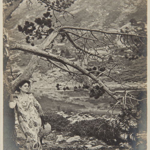 image for: Pere Casas Abarca - Sense títol - Cap a 1900