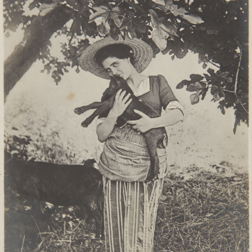 image for: Pere Casas Abarca - Sense títol - Cap a 1900