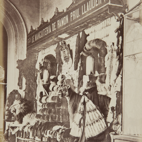 image for: Joan Martí  - Pórtico central alto posterior, mirando al Este[, de la Universitat de Barcelona] - 1877