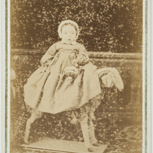 image for: Napoleón. Establecimiento de daguerrotipo y fotografía. Barcelona - Retrat de nen petit - Cap a 1860