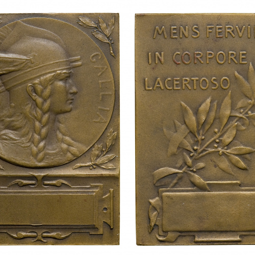 image for: Charles Pillet - Gàl·lia. «Mens fervida in corpore lacertoso» - Cap al 1900