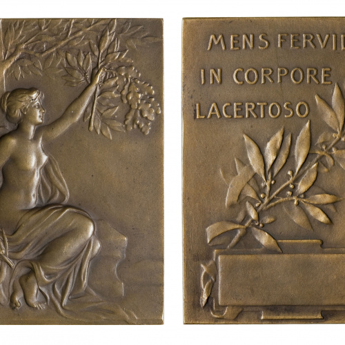 image for: Charles Pillet - Dona al jardí. «Mens fervida in corpore lacertoso» - Cap al 1900