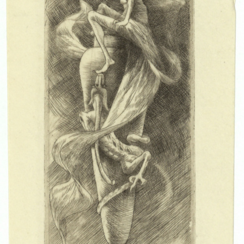image for: Alexandre de Riquer - Ex-libris Luis M. Febrer - 1903