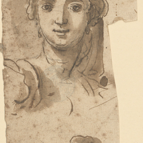 image for: Anonymous - Estudi de caps - Cap a 1740