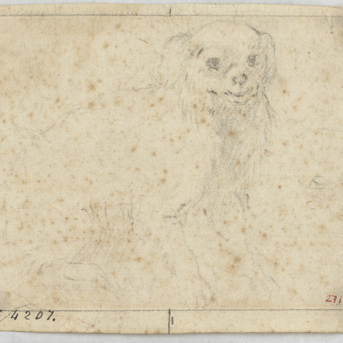 image for: Antoni Viladomat - Estudi de gos - Cap a 1720-1755